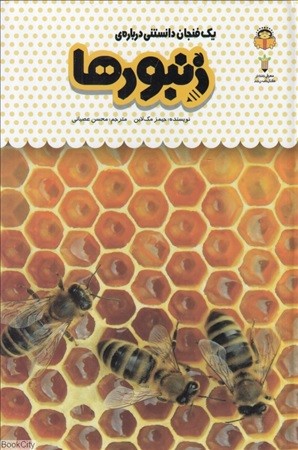 یک فنجان دانستنی درباره 24 : زنبورها 