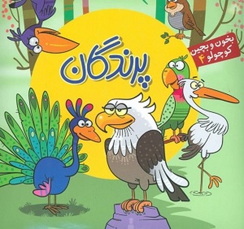 کتاب پازل پرندگان (بخون و بچین کوچولو 4)