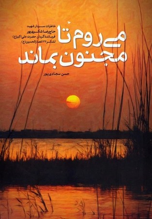 می روم تا مجنون بماند