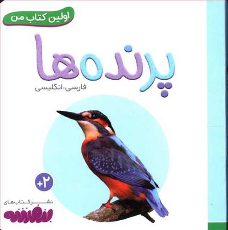 اولین کتاب من  : پرنده ها