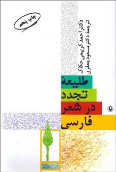 تصویر  طلیعه تجدد در شعر فارسی  حکاک  جعفری  نشر مروارید
