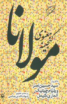 گنجینه معنوی مولانا  نصر  عباسی  نشر مروارید