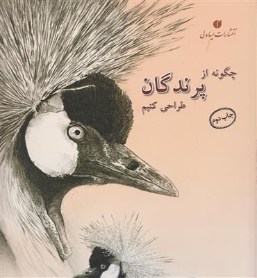 چگونه از پرندگان طراحی کنیم