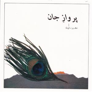 پرواز جان 