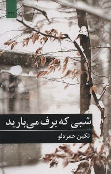 شبی که برف میبارید