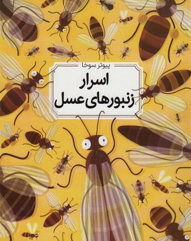 اسرار زنبور های عسل