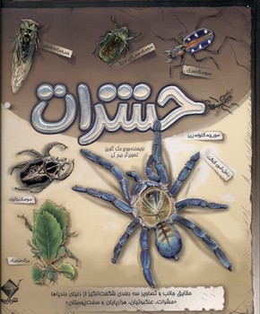 حشرات برجسته(حقایق جالب و تصاویر 3 بعدی شگغت انگیز از دنیای بندپاها)