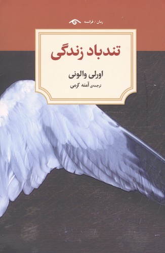 تندباد زندگی (شمیز،رقعی،دیدآور)