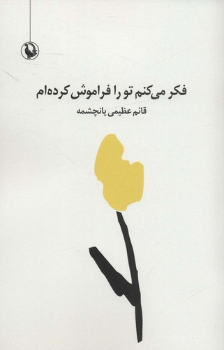 فکر می کنم تو را فراموش کرده ام (مجموعه شعر سپید)،(شمیز،رقعی،مروارید)