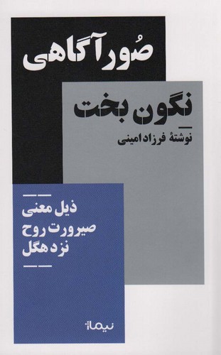 صور آگاهی نگون بخت (ذیل معنی صیرورت روح نزد هگل)،(شمیز،پالتوئی،نیماژ)