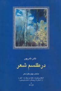 در طلسم شعر:منتخب 4 دفتر شعر (شعر معاصر ایران13)،(زرکوب،رقعی،سخن)