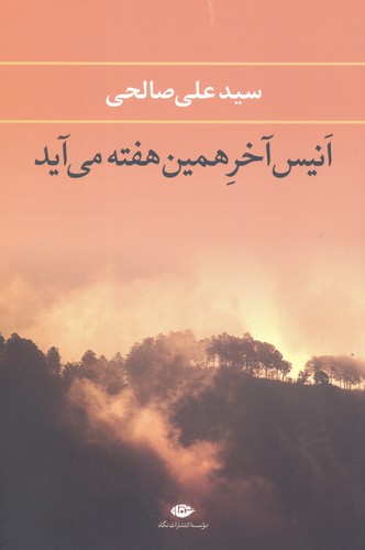 انیس آخر همین هفته می آید (شمیز،رقعی،نگاه)