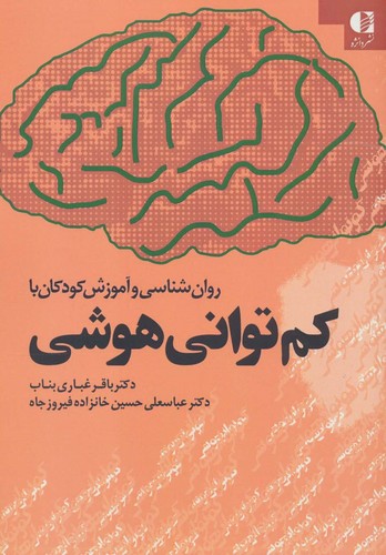 روان شناسی و آموزش کودکان با کم توانی هوشی (شمیز،وزیری،دانژه)