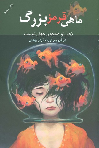 ماهی قرمز بزرگ (ذهن تو همچون جهان توست)،(شمیز،رقعی،درسا)