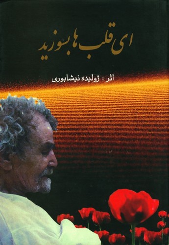 ای قلب‌ها بسوزید