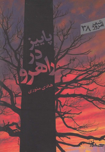 پاییز در راهرو (شعر امروز38)،(شمیز،رقعی،سپیده باوران)