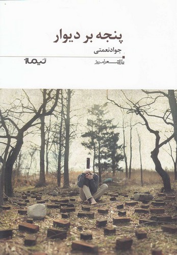 پنجه بر دیوار (پازل شعر امروز196)،(شمیز،رقعی،نیماژ)