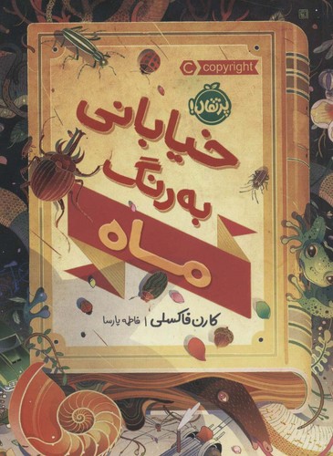 خیابانی به رنگ ماه (شمیز،رقعی،پرتقال)