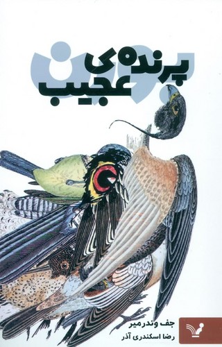 پرنده ی عجیب (شمیز،رقعی،تندیس)