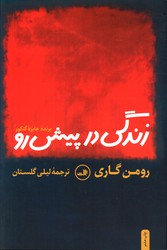 تصویر  زندگی در پیش رو - ثالث