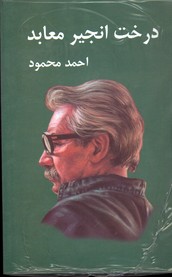 تصویر  درخت انجیر معابد دو جلدی شمیز - معین