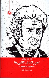 تصویر  امیرزاده ی کاشی هانقدشعرمعاصر