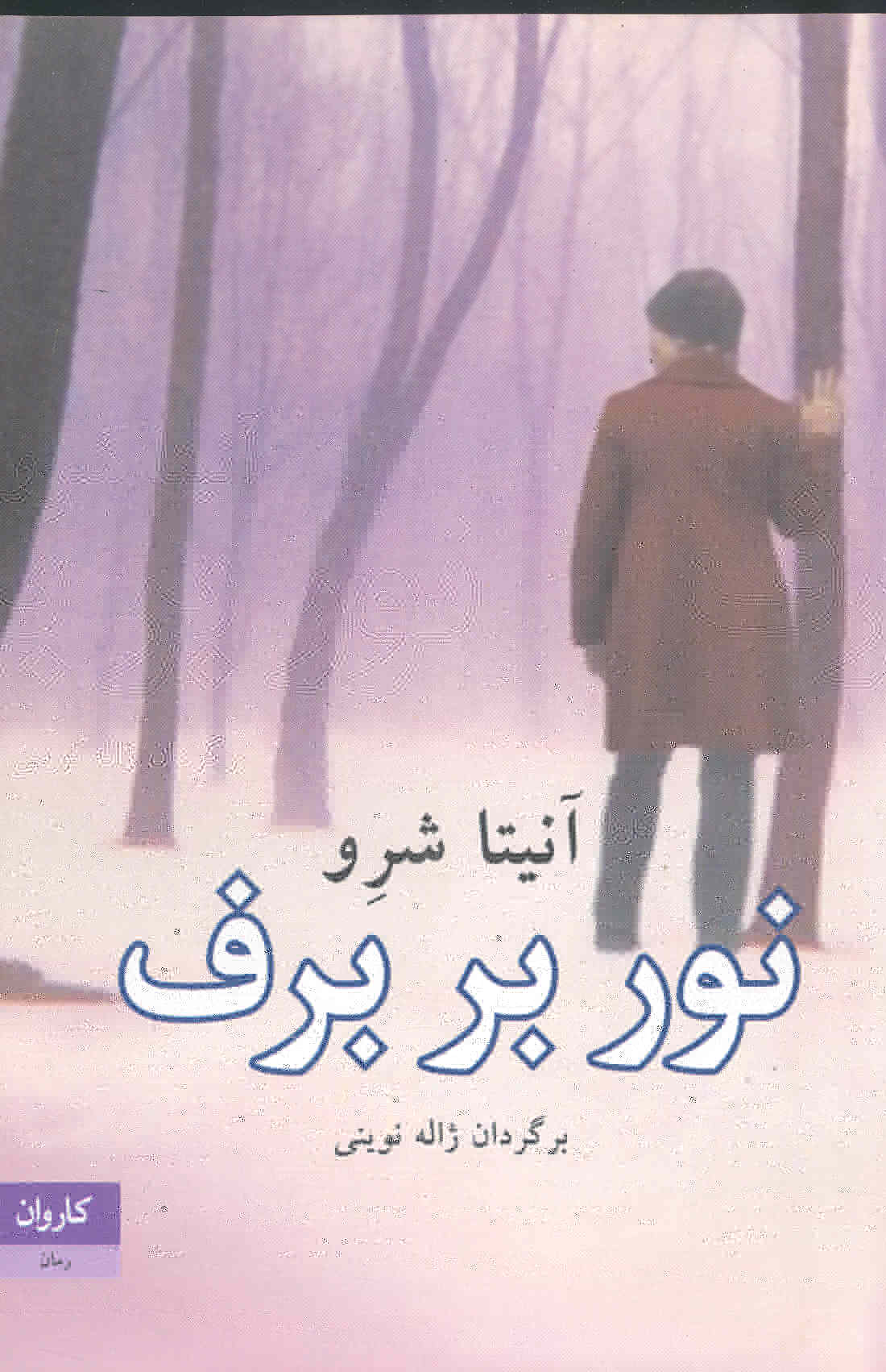 تصویر  نوربربرف