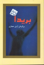 بریدا