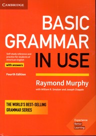 basic grammar in use with answers 4th edition