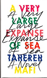 تصویر  A Very Large Expanse Of Sea fulltext