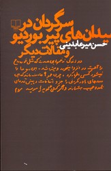 تصویر  سرگردان در میدان های پیر بوردیو و مقالات دیگر نشرچشمه