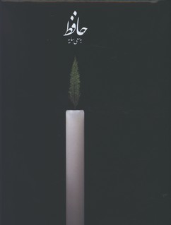 حافظ سايه وزيري بدون قاب