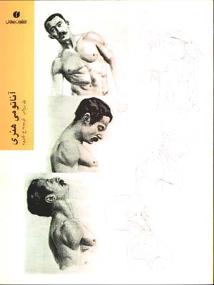 آناتومي هنري