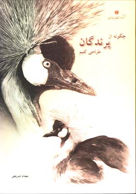 چگونه ازپرندگان طراحي كنيم