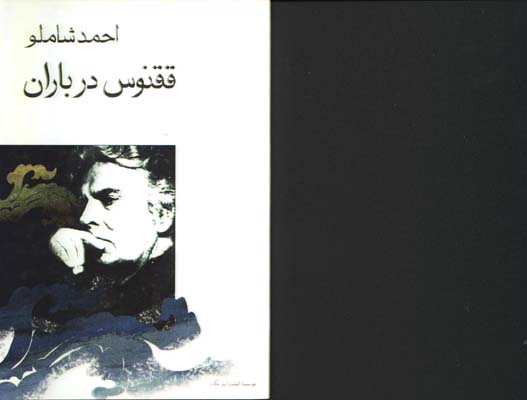 ققنوس در باران