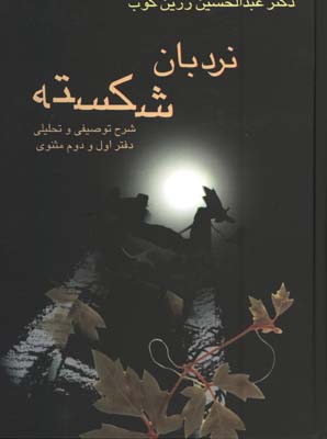 نردبان شكسته
