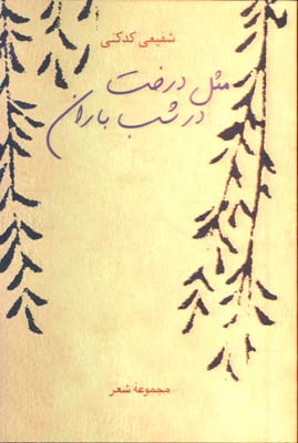 مثل درخت در شب باران
