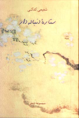 ستاره دنباله دار 