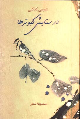 در ستايش كبوترها