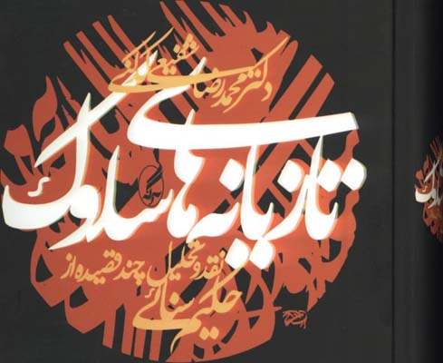 تازيانه هاي سلوك