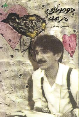 دو مرغابي در مه