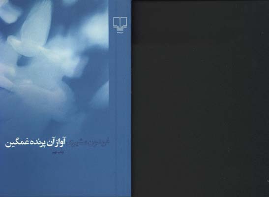 آواز آن پرنده غمگين