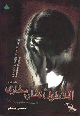 افلاطون كنار بخاري