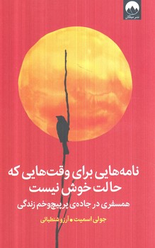 نامه هايي براي وقت هايي كه حالت خوش نيست(ميلكان)