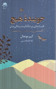 جوينده ي هيچ(داهي)