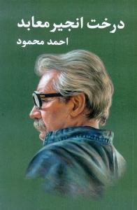 درخت انجير معابد(2 جلدي)(معين)