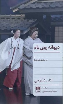 دیوانه روی بام (پالتویی)
