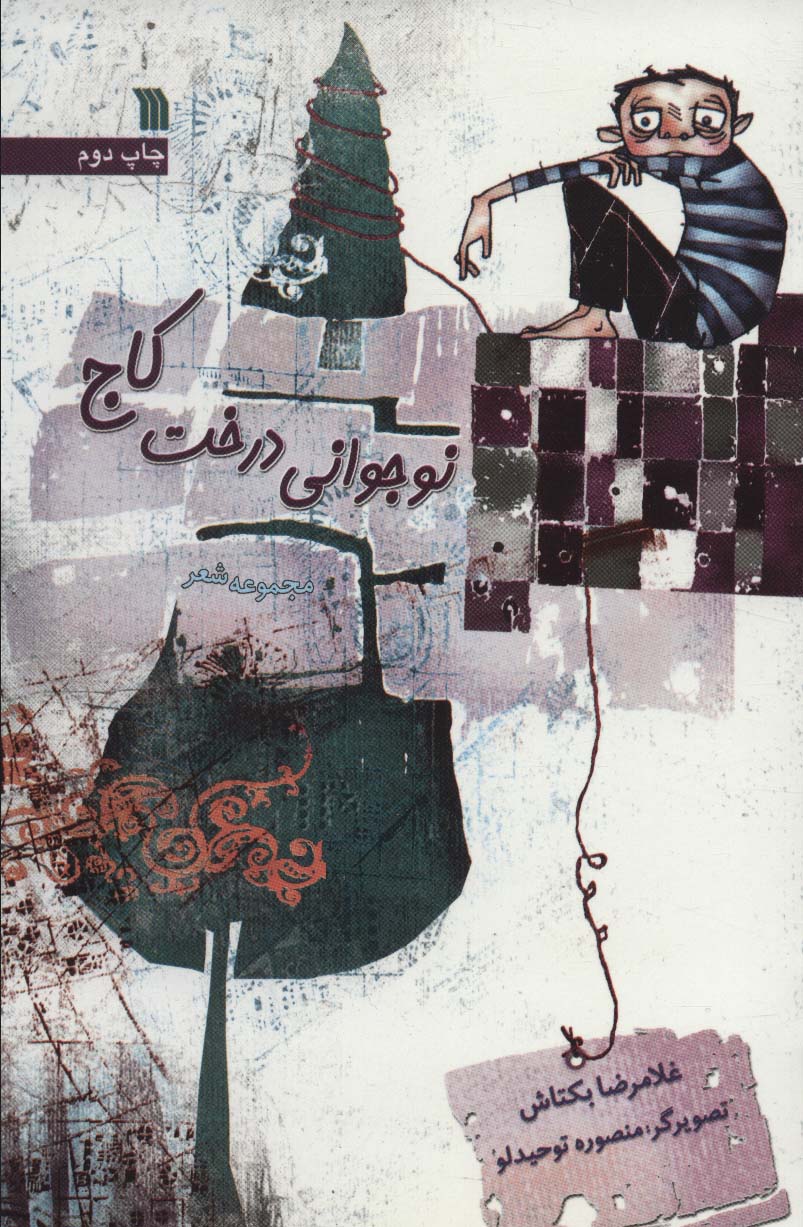 نوجوانی یک درخت کاج 