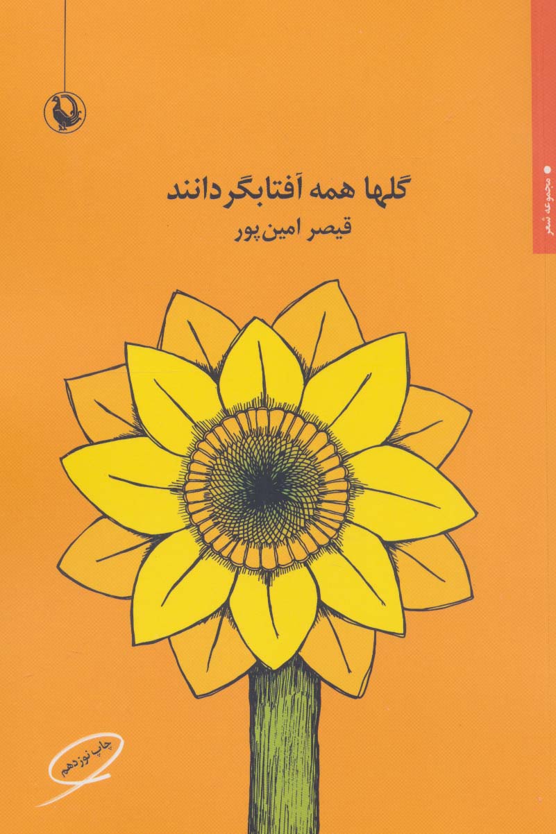 گلها همه آفتابگردانند (مروارید)