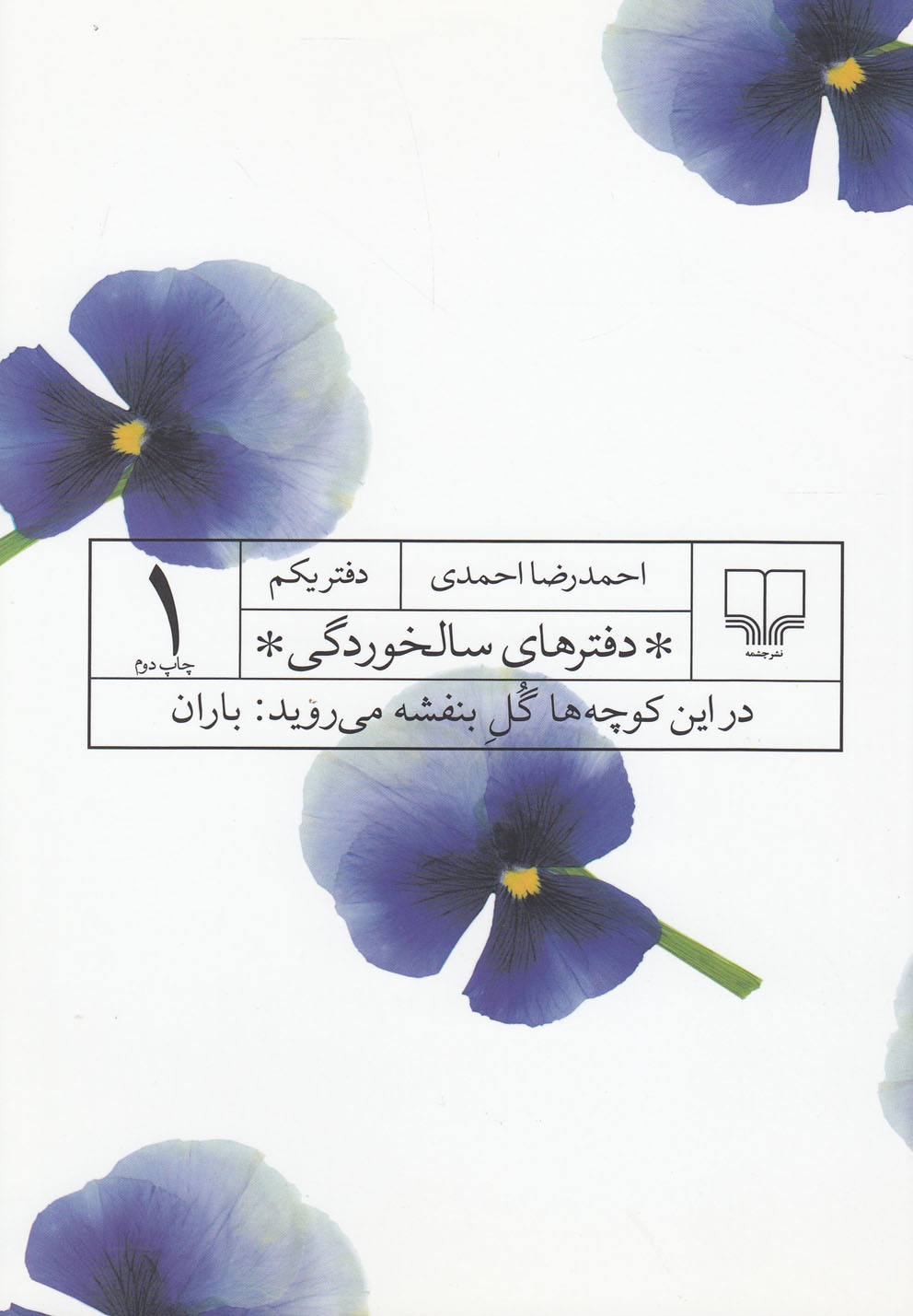 دفترهای سالخوردگی (2)(چترهای کهنه در باران باز نمی شدند)